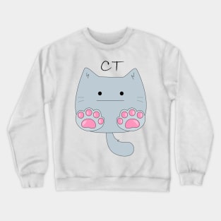 Ct Crewneck Sweatshirt